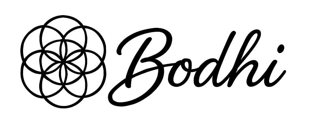 Bodhi's Blog